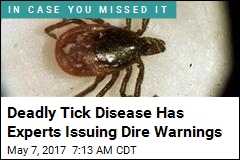Deadly Tick Disease Makes Lyme Look Like Child&#39;s Play