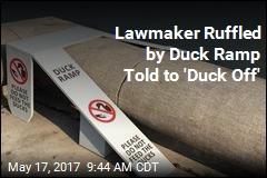 Twitter Scolds Lawmaker Ruffled by a Duck Ramp