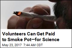 Washington State Will Pay Volunteers to Smoke Pot