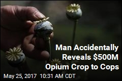 Man Accidentally Reveals $500M Opium Crop to Cops