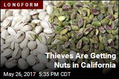 Nut Thefts Are Big Deal in California