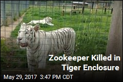 Tiger Kills Zookeeper in &#39;Freak Accident&#39;