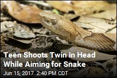 14-Year-Old in Texas Shot to Death by Twin Aiming for Snake