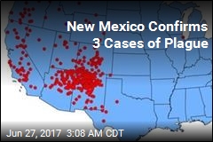 3 Plague Cases Found in New Mexico County