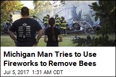 Guy Tries to Remove Bees With Fireworks, Burns Down Garage