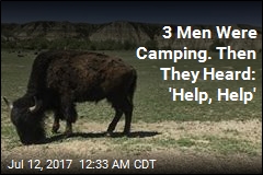 Bison Attacks Hiker in North Dakota