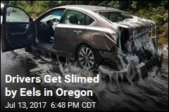 Drivers Get Slimed by Eels in Oregon