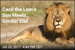 Hunter Kills Son of Cecil the Lion