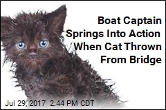 Boat Captain Rescues Cat Thrown Off Florida Bridge