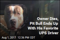 Owner Dies, Pit Bull Ends Up With His Favorite UPS Driver
