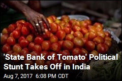 &#39;State Bank of Tomato&#39; Political Stunt Takes Off in India