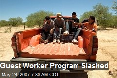 Guest Worker Program Slashed