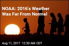 NOAA: 2016&#39;s Weather Was Extreme, Worrying