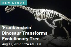 &#39;Frankenstein&#39; Dinosaur Transforms Evolutionary Tree