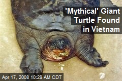 'Mythical' Giant Turtle Found in Vietnam