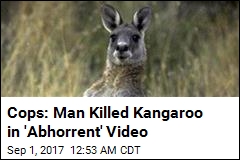 Man Arrested for &#39;Abhorrent&#39; Kangaroo Killing