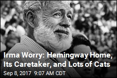 Irma Worry: Hemingway Home, Its Caretaker, and Lots of Cats
