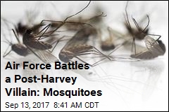 Texas&#39; Post-Harvey Scourge: Mosquitoes