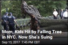 Mom Hit by Falling Tree in Central Park Sues for $200M