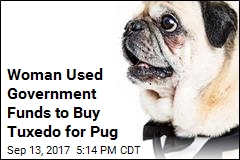 Woman Admits to Using County Cash to Buy Dog Tuxedo