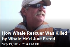 Inside Whale Rescuer&#39;s Death: &#39;It Was Catastrophic&#39;