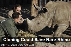 Cloning Could Save Rare Rhino