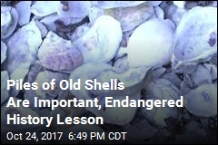 Piles of Old Shells Are Important, Endangered History Lesson