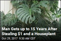 Man Gets up to 15 Years for Stealing $1 and a Houseplant