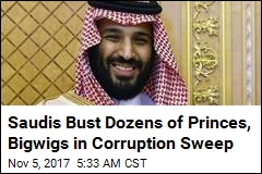 Saudis Bust Dozens of Princes, Bigwigs in Corruption Sweep