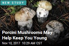 Porcini Mushrooms May Help Keep You Young