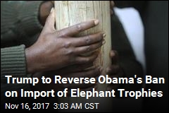 Shot an Elephant in 2016? Trump Will Let You Import It