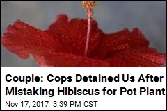 Lawsuit: Couple Detained After Hibiscus Mistaken for Pot Plant