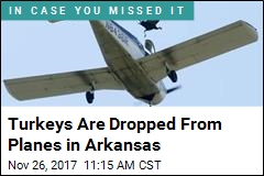 Turkeys in Arkansas Have the Real Nightmare Flights