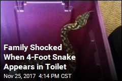 Seattle Family Discovers Python in Apartment Toilet