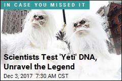 You&#39;ve Probably Seen a &#39;Yeti&#39;