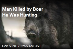 Wild Boar Kills German Hunter