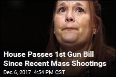 House OKs GOP Bill Expanding Gun Owner&#39;s Rights