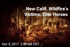 Homes, Horses Burn in New Calif. Wildfire