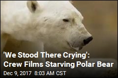 Wrenching Video Shows Starving Polar Bear