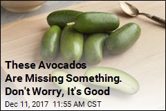 Pitless Avocados Are Here