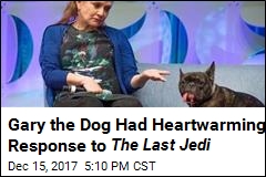 Gary the Dog Had Heartwarming Response to The Last Jedi