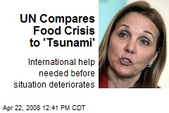 UN Compares Food Crisis to 'Tsunami'