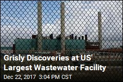 Objects Found at Wastewater Facility May Be Human Organs