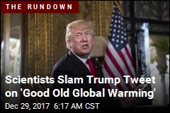 Trump: We Could Use Some &#39;Good Old Global Warming&#39;