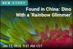 Found in China: Dino With a &#39;Rainbow Glimmer&#39;