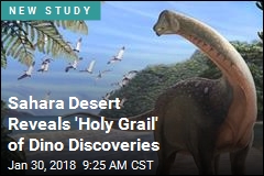 Sahara Desert Reveals &#39;Holy Grail&#39; of Dino Discoveries