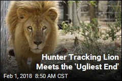 Hunter Set Out to Kill a Lion, Was Fatally Shot Himself