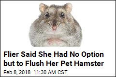 Woman Claims She Flushed Hamster on Spirit Air&#39;s Advice