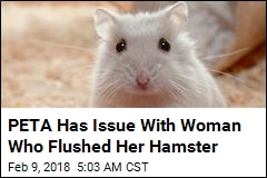 PETA Weighs In on Hamster Flushed Down Airport Toilet