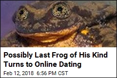 Scientists Create Online Dating Profile for Special Frog